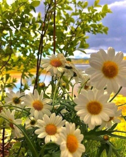 FB_IMG_16931680678854309