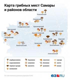 Грибные_места