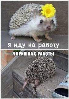На_работу_-_с_работы