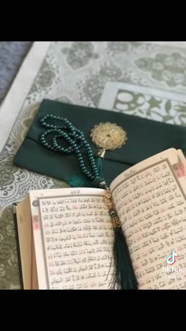 6dec31c35511aa4f209a0ed6b775f9dc