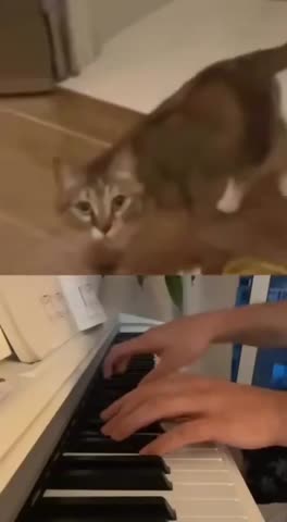 2_5445048491489377222