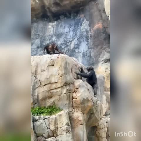 InShot_20230724_144552207