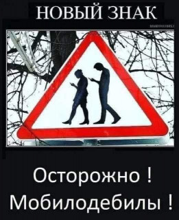 FB_IMG_1693847657483