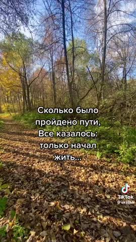 94e709bb9c9ac93dced817a56dae05d6