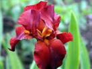 images-6