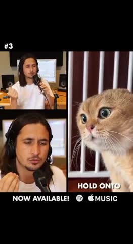 5_котопесен