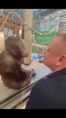 сама_нежность