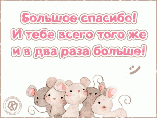Мышки
