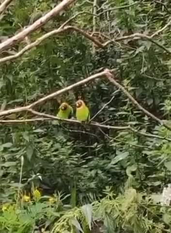 классное_утро