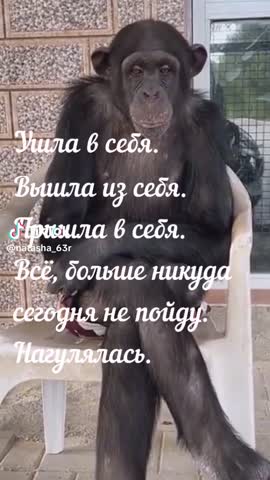 3fd36dc837f2fa21ca3e44eefddcda03