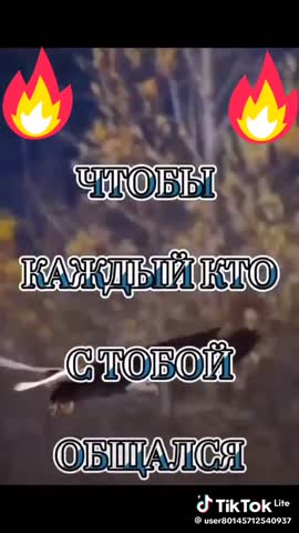 b66b6732303f05d646e7c7fa09b12510