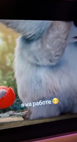 Я_на_работе