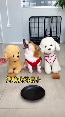 нифига_себе