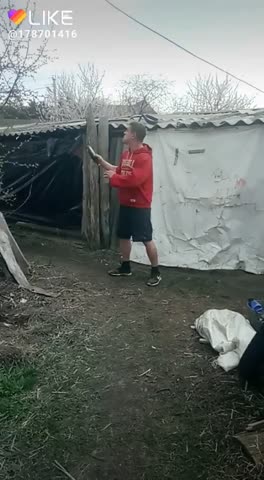 Like_6681928112746134112