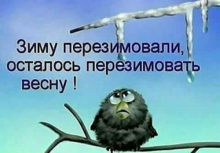 зиму_перезимовали