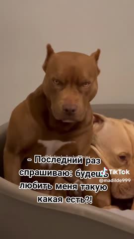 63e0e2f9bafee9509c33e7e91f26875a