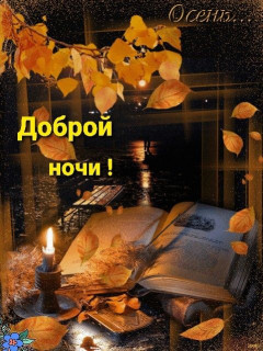 IMG-477492f052a86cc59fa24476fb24d557-V