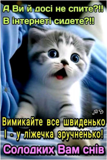 FB_IMG_16953245682795298