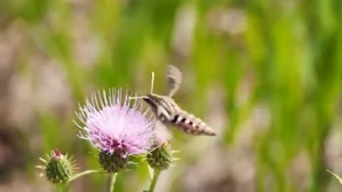 20230908_7Y12v1fSa4_video_15sec720