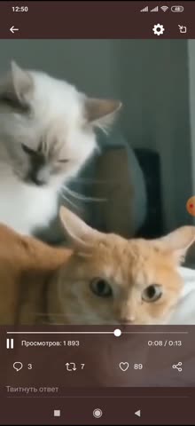 Триллер - Зловещий кусь