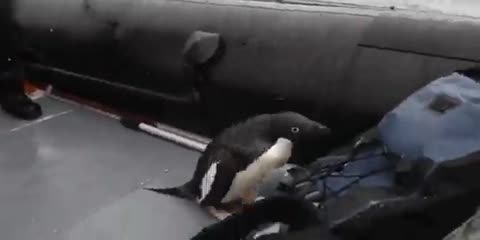 Душевная мелодрама - Люся пропала