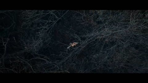 Ensifem_-_Andromeda_OFFICIAL_VIDEO_720p