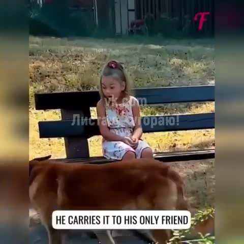 добрая_собака