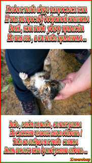 Screenshot_20230930-132256-picsay