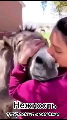 нежность_моменты