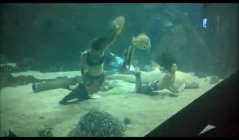 Шоу_русалок_в_Адлере