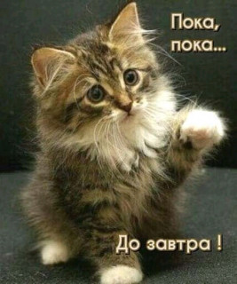 FB_IMG_16965344480799628