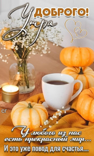 IMG-891a79c67ae91f627b718526d275a6c7-V