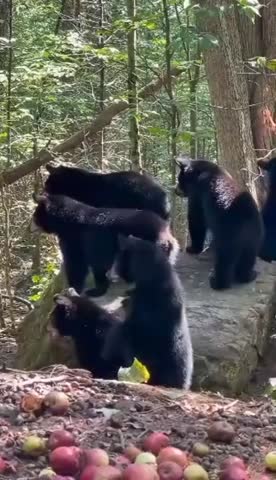 алкаголикитунеядцы