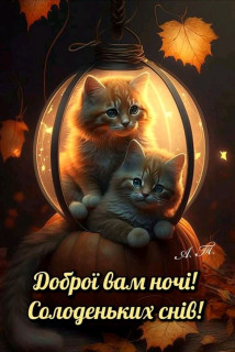 FB_IMG_16966185344466642