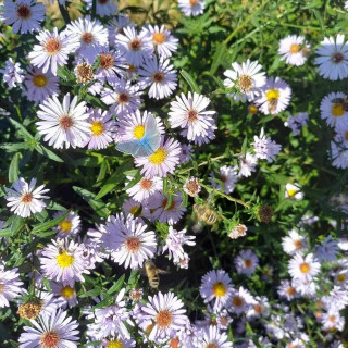 FB_IMG_16966243254564577