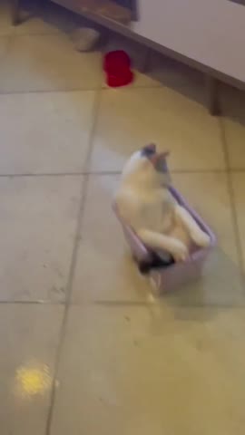 вот_такие_мы