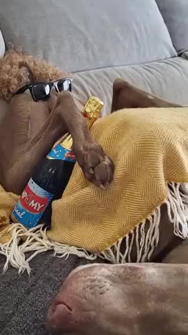 сплю_сладко