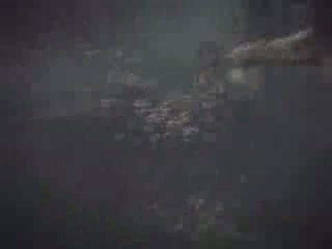 Ария_Кровь_королей