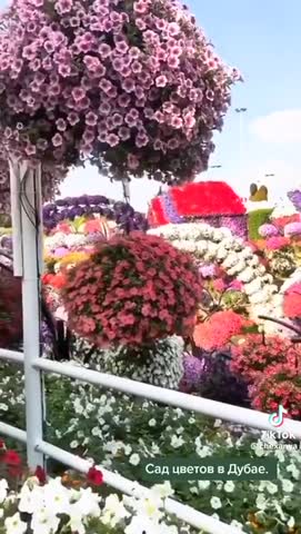 обалденные_сады