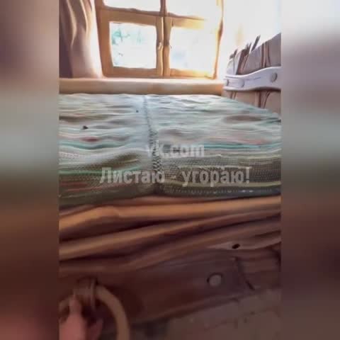 евродвушка