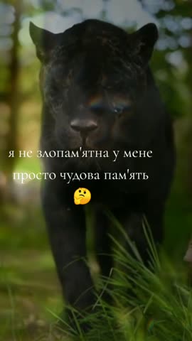 VID_20231010_193654_345