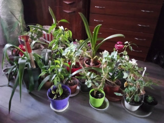 IMG-6bb6ffe4d90eb8fb06e8cf23030e2b42-V