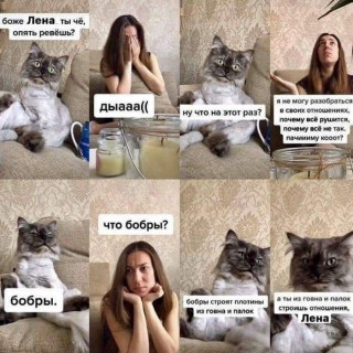 FB_IMG_1697064704761