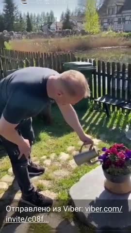 дачный_цветник