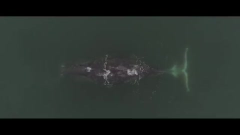 Сансара_Облака