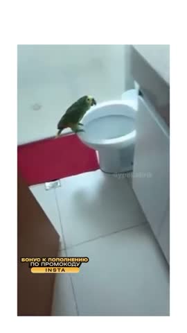 не_мешайте_петь