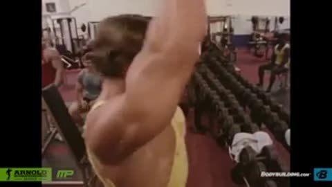 ARNOLD_SCHWARZENEGGER_bodybuilding_320