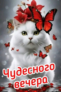 FB_IMG_16974519672942652