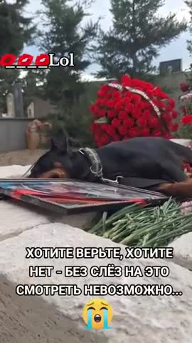 хотите_верьте