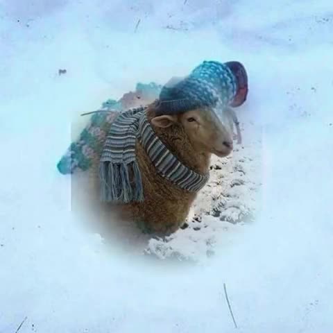 одеваемся_теплее